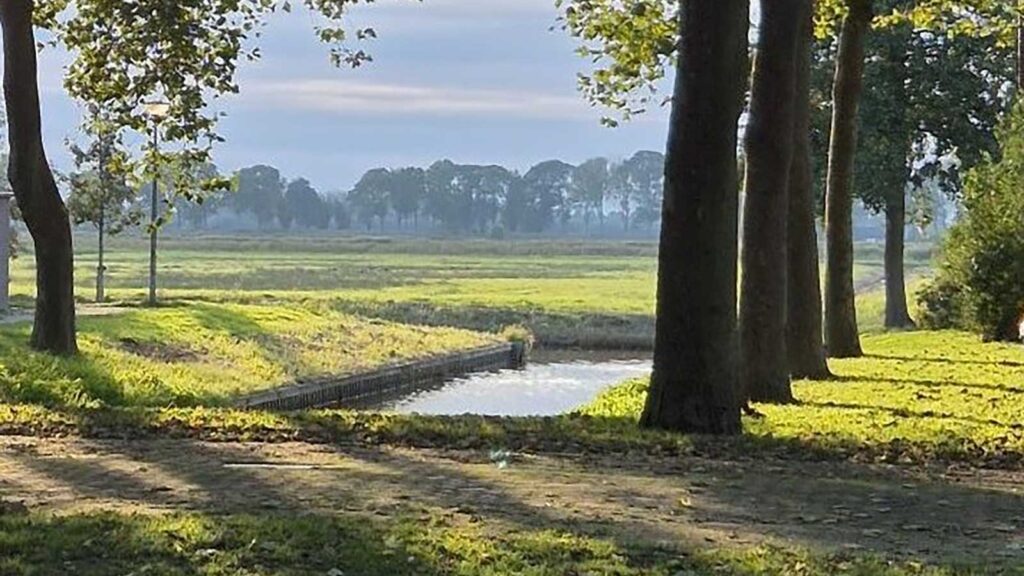 Gedicht van de maand oktober door Sabine Alders-du Bosc